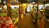 Furniture and Home Decorating For Sale in Colorado